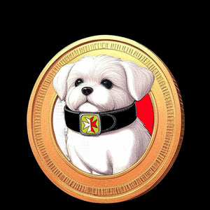 What Is Maltesecoin?