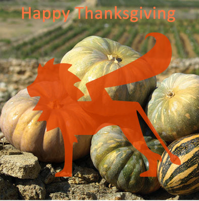 Happy Thanksgiving from Triesti