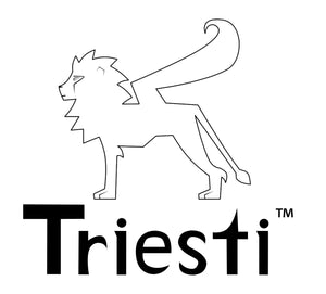 New logo for Triesti Kids